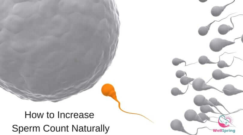 sperms approaching to egg for fertilization